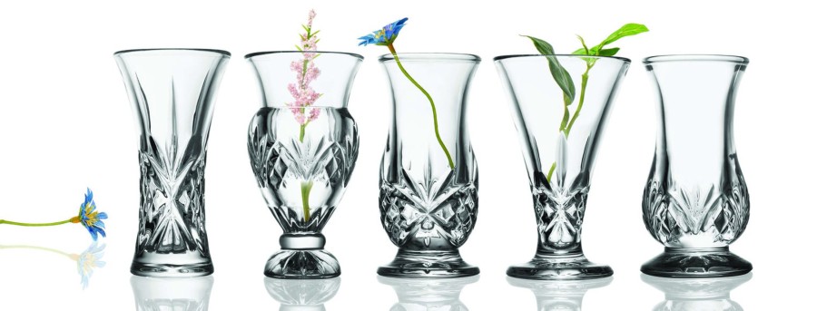 Decor Godinger | Dublin Crystal 5 Piece Bud Vase Set